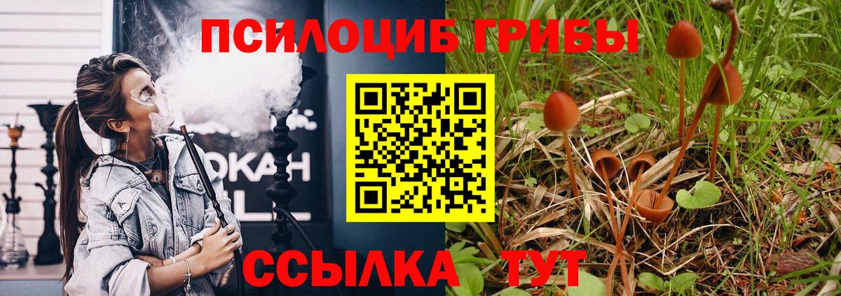 Псилоцибиновые грибы ЛСД Октябрьский